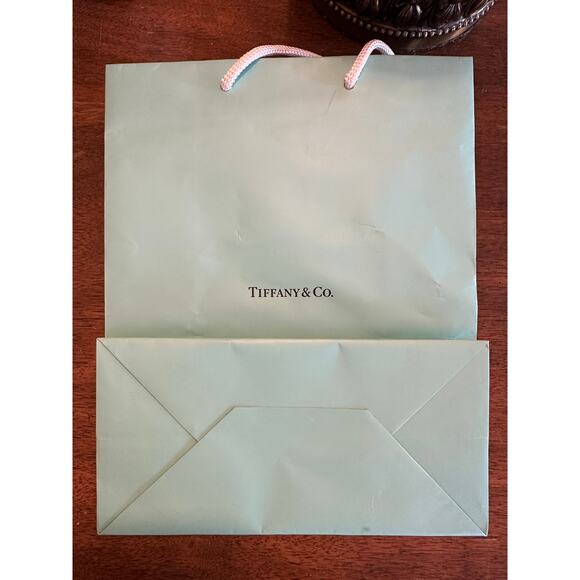 Tiffany & Co gift bag teal white rope handle jewelry crystal .925 Return to - Picture 3 of 8
